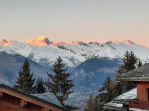 appart entierement renové les coches - la Plagne Bellentre